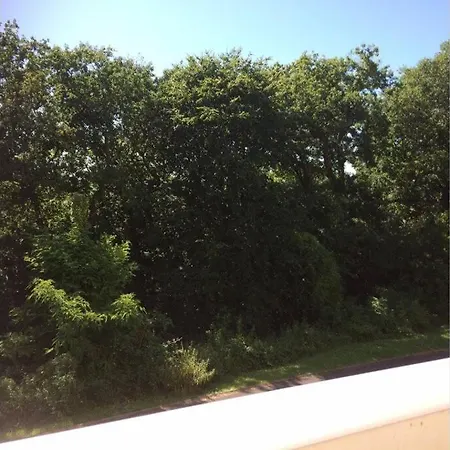 Cosy A 10 Min Du Centre De Parking Inclus Apartman Bayonne